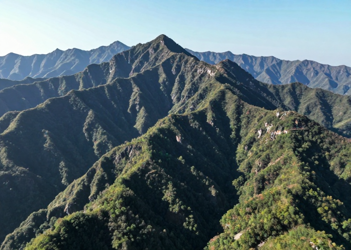 z-image_00403_.png
