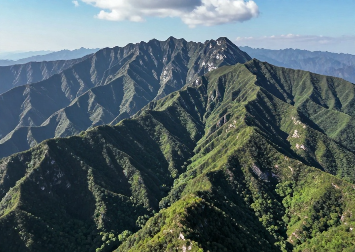 z-image_00401_.png