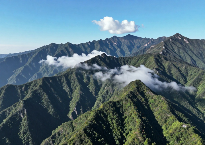 z-image_00410_.png