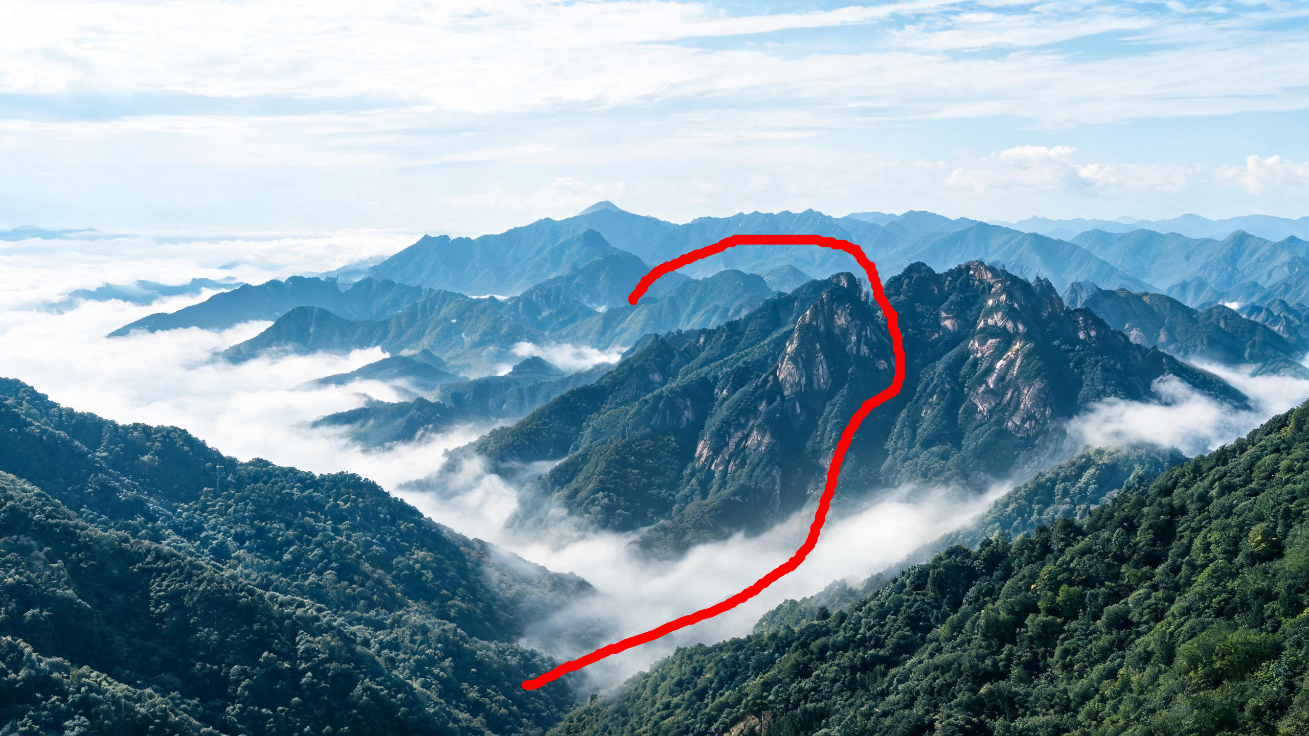 标注.png